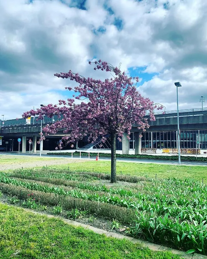 Maritim Airport Hotel Hannover Langenhagen  Tyskland