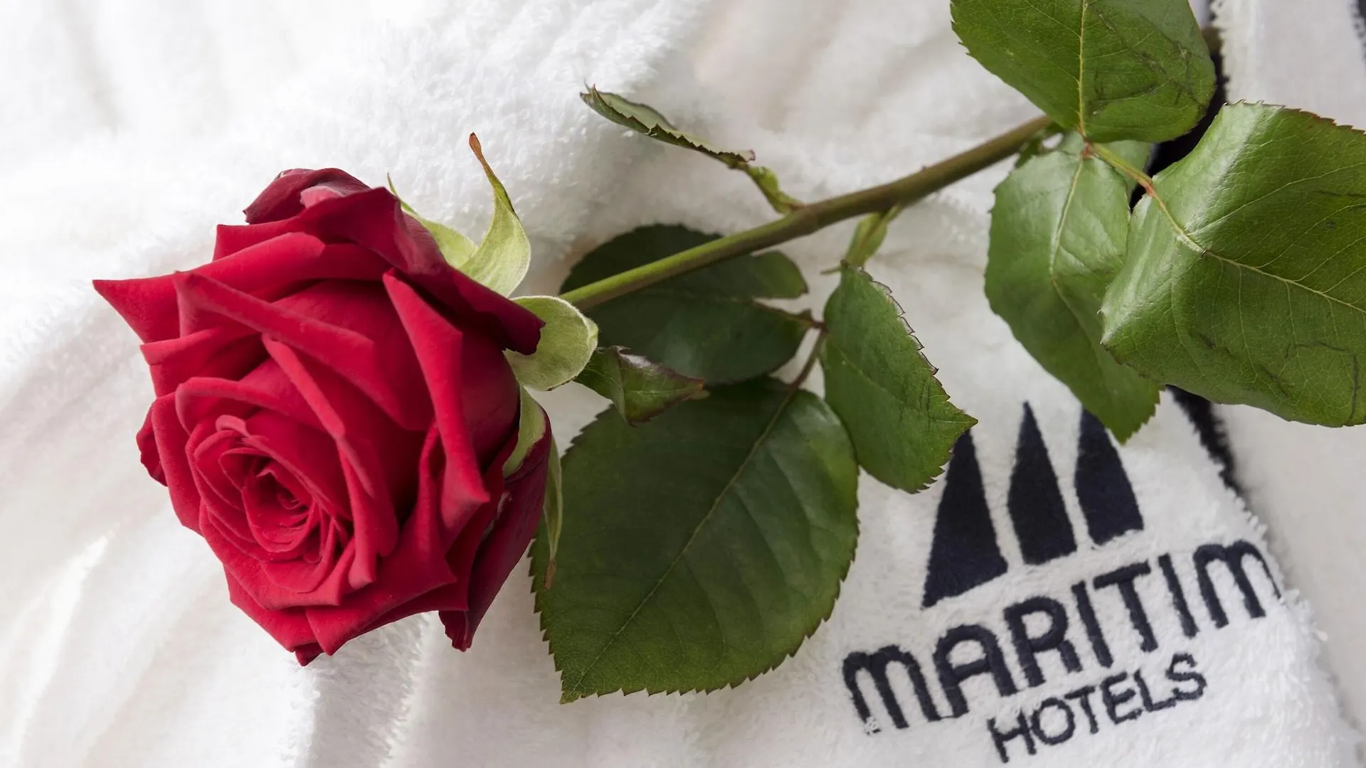 Maritim Airport Hotel Hannover Langenhagen